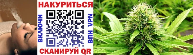 Бошки марихуана OG Kush  Западная Двина 